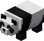 Panda JE1 BE1.png: Infobox image for Panda the entity in Minecraft