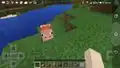 Second image of pig riding in Bedrock Edition.