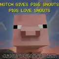 The image thanking Notch for adding snouts to pigs.