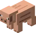 A pig as it appears in the Plastic texture pack.