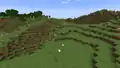 Another plains biome.