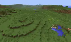 A plains biome before The Update that Changed the World.