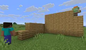 Two players building on a server.