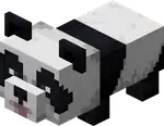 Playful Baby Panda.png: Infobox image for Panda the entity in Minecraft