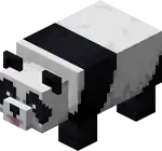 Playful Panda.png: Infobox image for Panda the entity in Minecraft