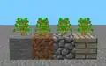 All available blocks in the launcher's variant of this version. Note the sapling texture introduced in Classic 0.0.13a.[note 1]