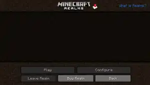 Main Realms menu for players that have been invited to a Realm and have not yet accepted.
