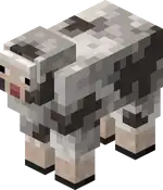 Rocky Sheep.png: Infobox image for Rocky Sheep the entity in Minecraft