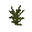Shrub LCE3.png: Infobox image for Shrub the block in Minecraft