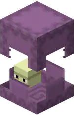 A Shulker