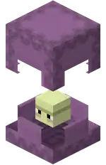Shulker.png: Infobox image for Shulker the entity in Minecraft
