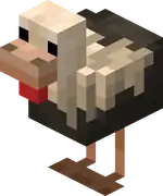 Skewbald Chicken.png: Infobox image for Skewbald Chicken the entity in Minecraft
