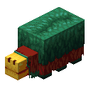 A sniffer feeling happy