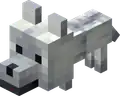Snowy Baby Wolf JE1.png: Infobox image for Wolf the entity in Minecraft