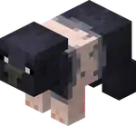 Sooty Pig.png: Infobox image for Sooty Pig the entity in Minecraft