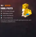 Soul fists within the inventory.
