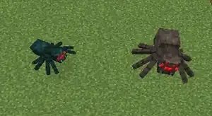 A cave spider next to a spider