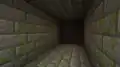 Many stone bricks in a stronghold with an iron door on it