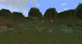 Swamp biome.