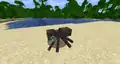 A spider naturally spawned with the Speed effect.