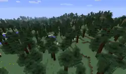 A taiga biome before Java Edition 1.1.