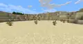 Several dead bushes in a desert biome.