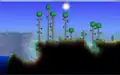 First image of the Creeper set in Terraria.