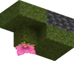 Underground vegetation ceiling.png: Infobox image for Vegetation patch the structure in Minecraft