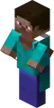 villager.png used as the texture for a villager using a texture pack