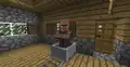 A villager riding a minecart.