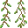 Vines