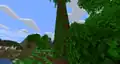 Vines in a jungle biome.