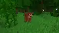 A naturally spawned warm cow in a jungle.
