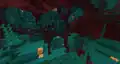 Warped Forest biome.