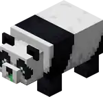 Weak Panda.png: Infobox image for Panda the entity in Minecraft