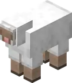 White Sheep Blink.png: Infobox image for White Sheep the entity in Minecraft