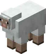 White Sheep.png: Infobox image for Sheep the entity in Minecraft