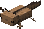 Wild Axolotl.gif: Infobox image for Pet Axolotl the entity in Minecraft