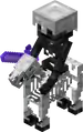 A wither skeleton riding a skeleton horse.