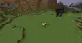 The wither attacking a sheep.