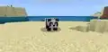 A worried panda on a beach.