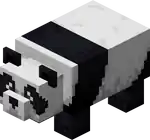 Worried Panda.png: Infobox image for Panda the entity in Minecraft