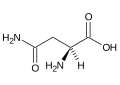 Amminoacido asparagina formula.svg