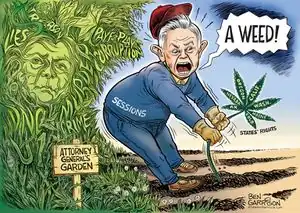 Ben garrison-sessions weed.jpg