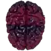 Jellybrain.png