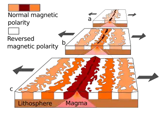 Graphic showing the seafloor spreading process.