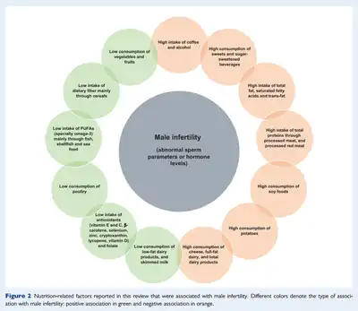 Salas-Huetos et al 2017 Male Infertility and Food.png