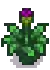 Artichoke Stage 5.png