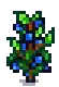 Blueberry Stage 6.png