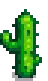 Cactus Stage 5.png
